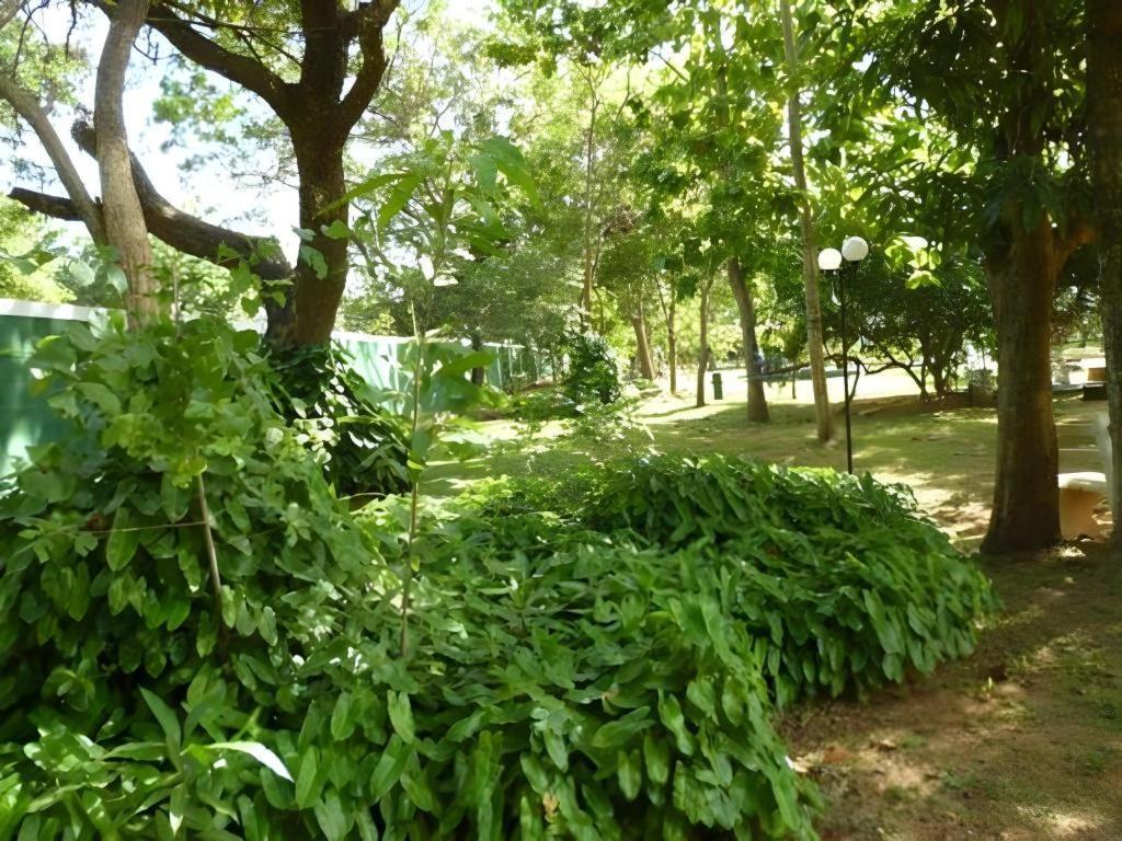 Saji-Sami Hotel Anuradhapura Bagian luar foto