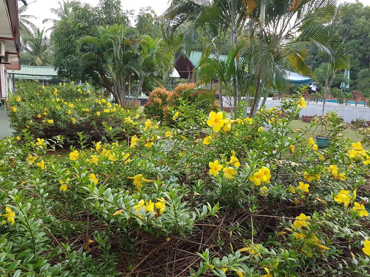 Saji-Sami Hotel Anuradhapura Bagian luar foto