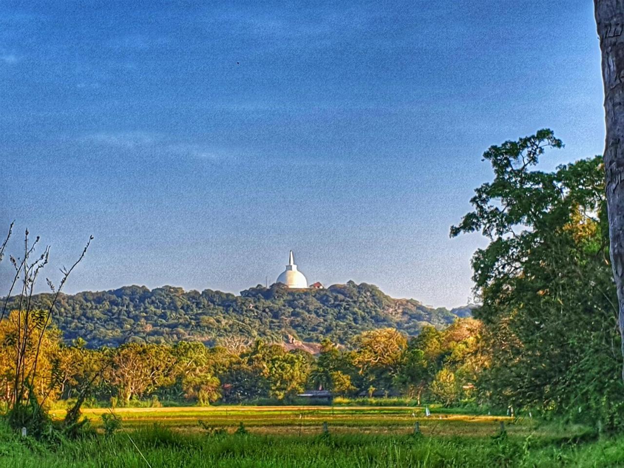 Saji-Sami Hotel Anuradhapura Bagian luar foto